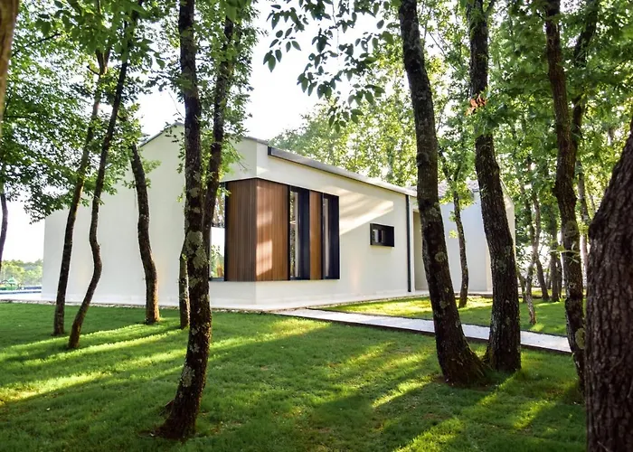 Casa Bosca With Heated Pool ヴィラ Sveti Petar u Šumi